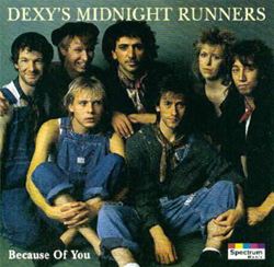 Dexys Midnight Runners Because Of You